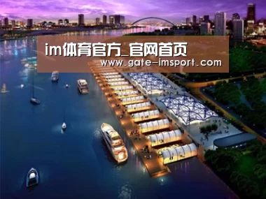 案例展示八