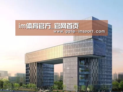 案例展示四