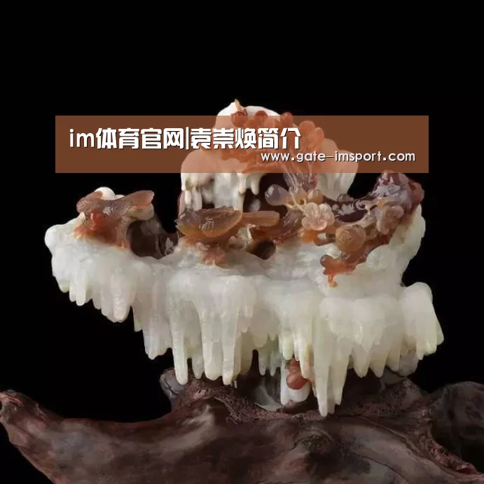 im体育官网|袁崇焕简介(图1) im体育官网