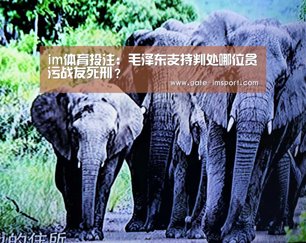 im体育投注:毛泽东支持判处哪位贪污战友死刑?(图4) 在线投注