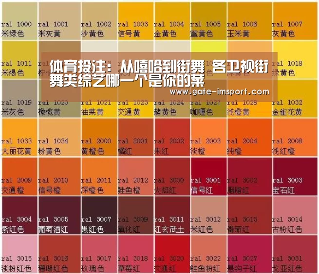 体育投注:从嘻哈到街舞 各卫视街舞类综艺哪一个是你的菜(图3) im体育官网